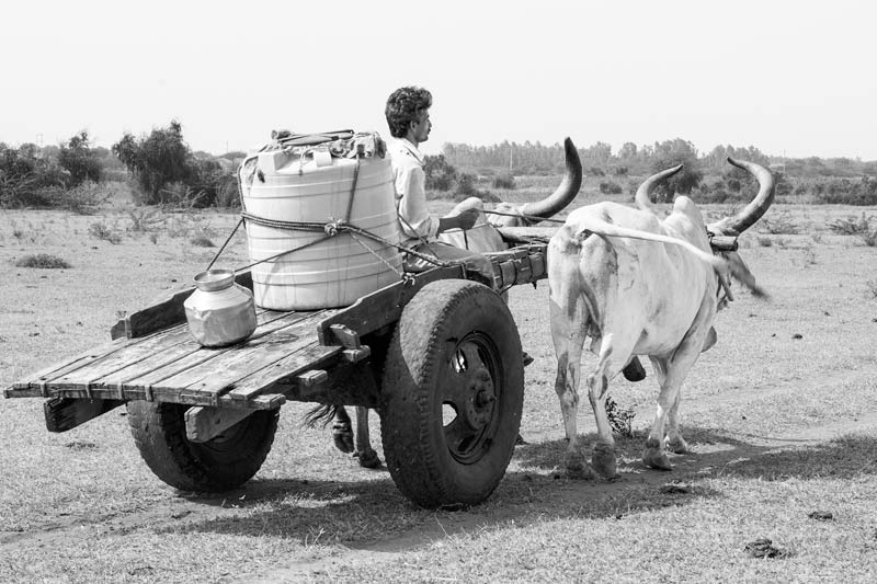 Carriage and Transportation of Drinking Water - Kutch district, Gujarat